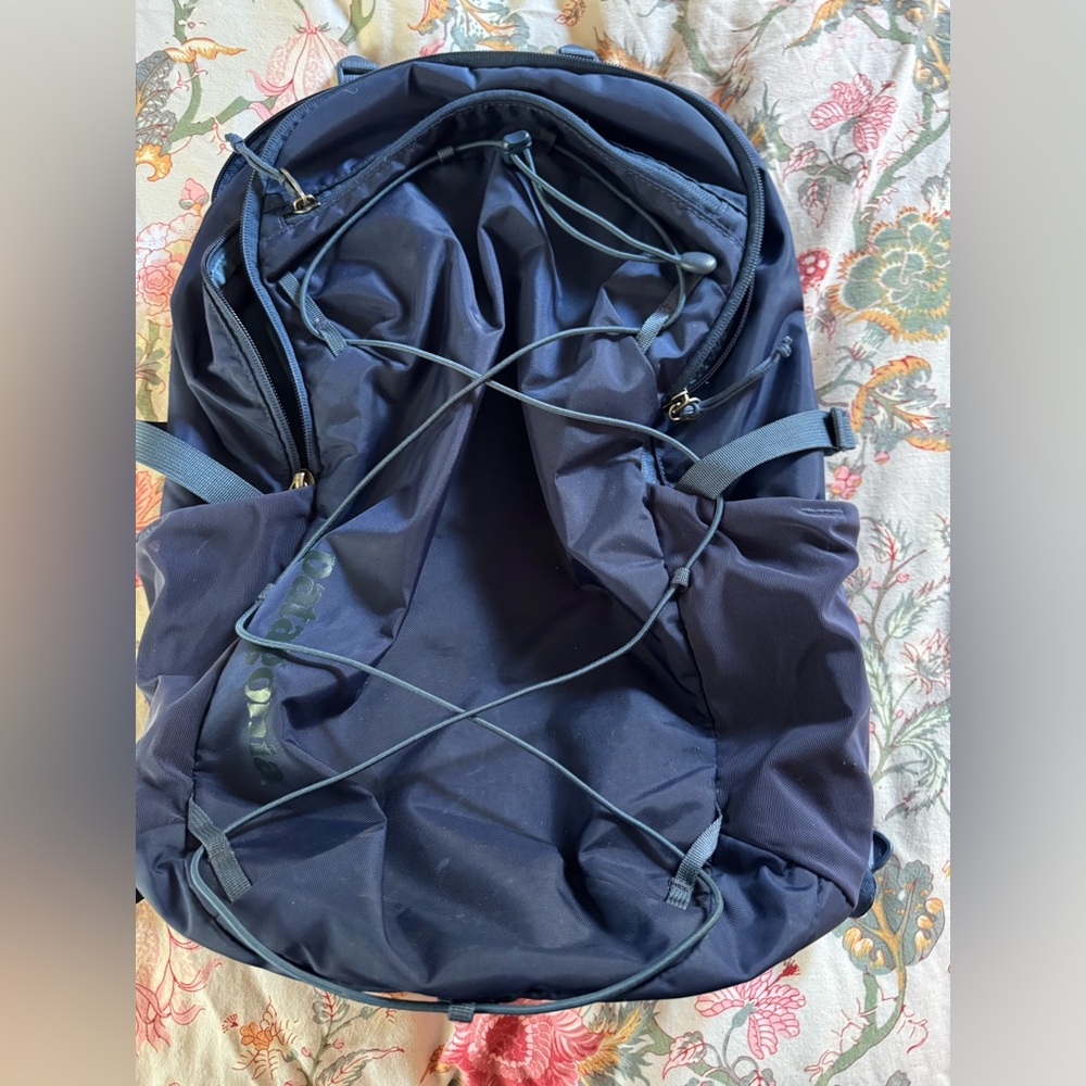 Patagonia 30L Refugio DayPack